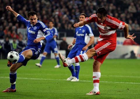 林的这种 林的这种